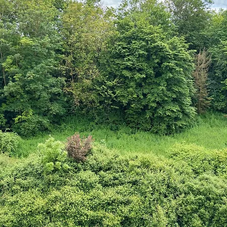 Apartment Charming Center, Parking, Balcony