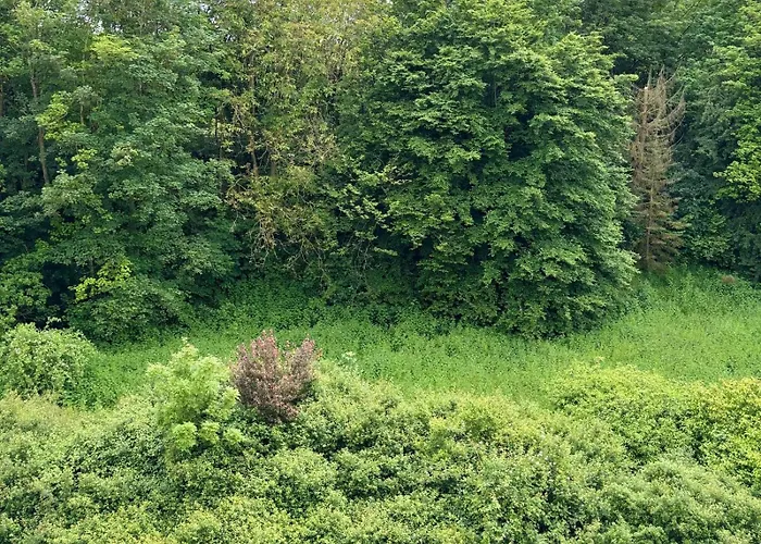 Lejlighed Charming Center, Parking, Balcony